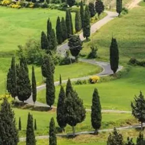 Panoramico Appartamento