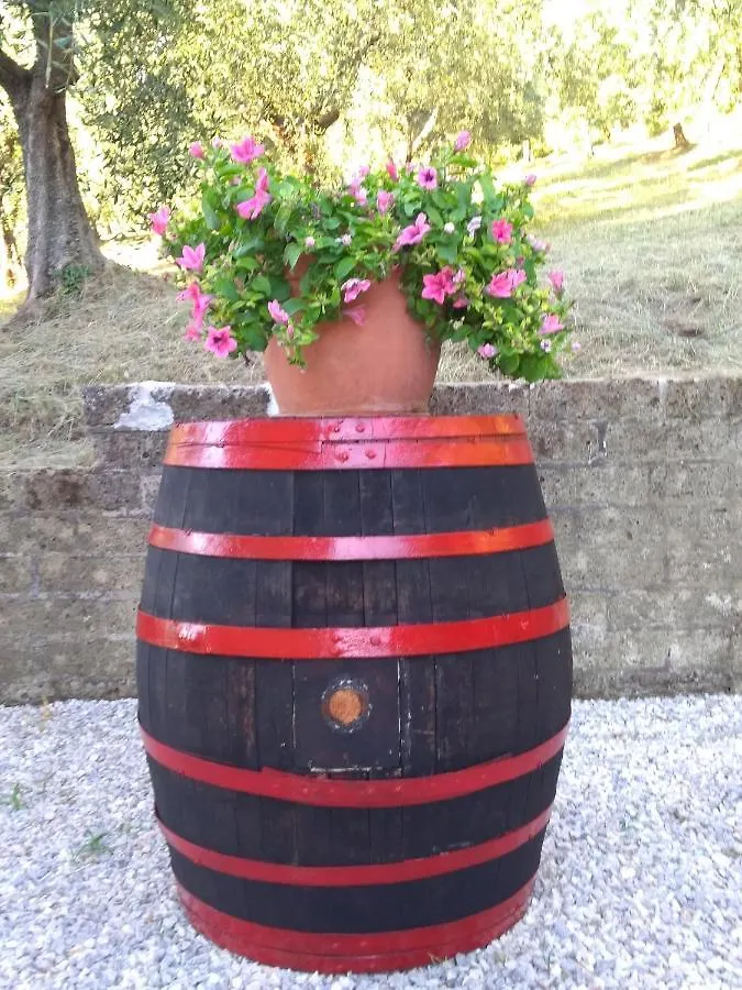 Appartamento La Casa Dei Nonni Montepulciano Stazione Italia